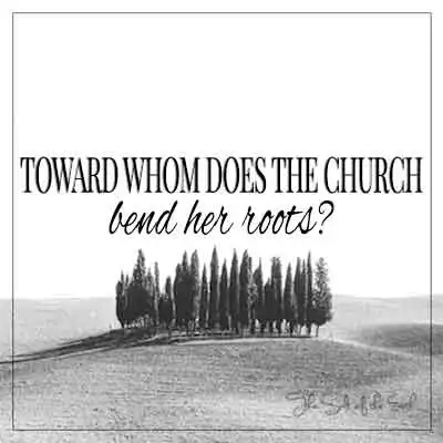 obrázek stromy v poušti s textovým názvem článku, ke komu církev ohýbá své kořeny